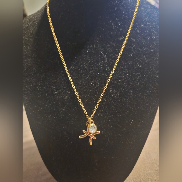 ZODIAC Pisces ♓️ Feb 19 - March 20 represented by the two fish charmed necklace - Picture 1 of 4
